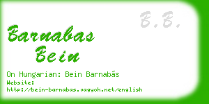 barnabas bein business card